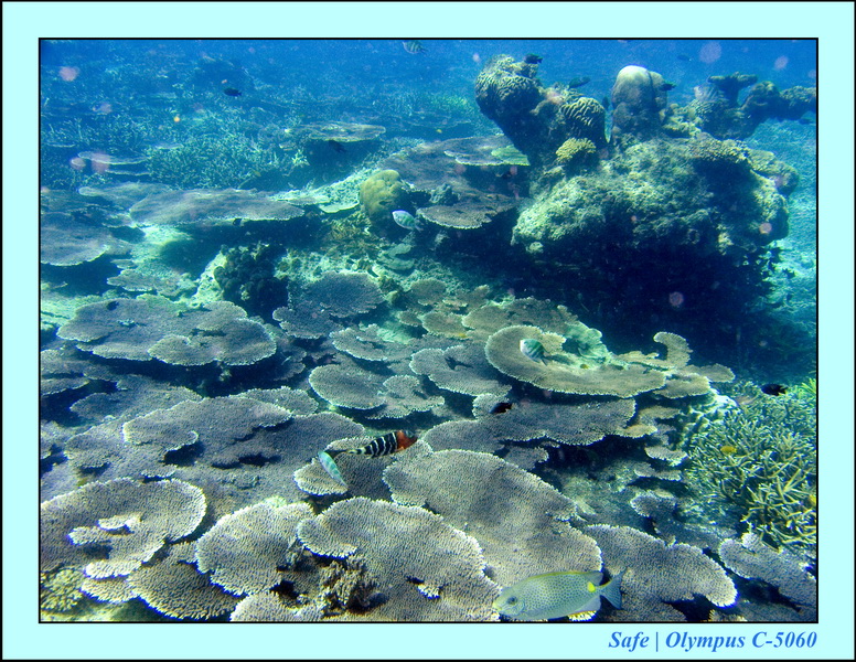 2008 - 07 - Redang - 036